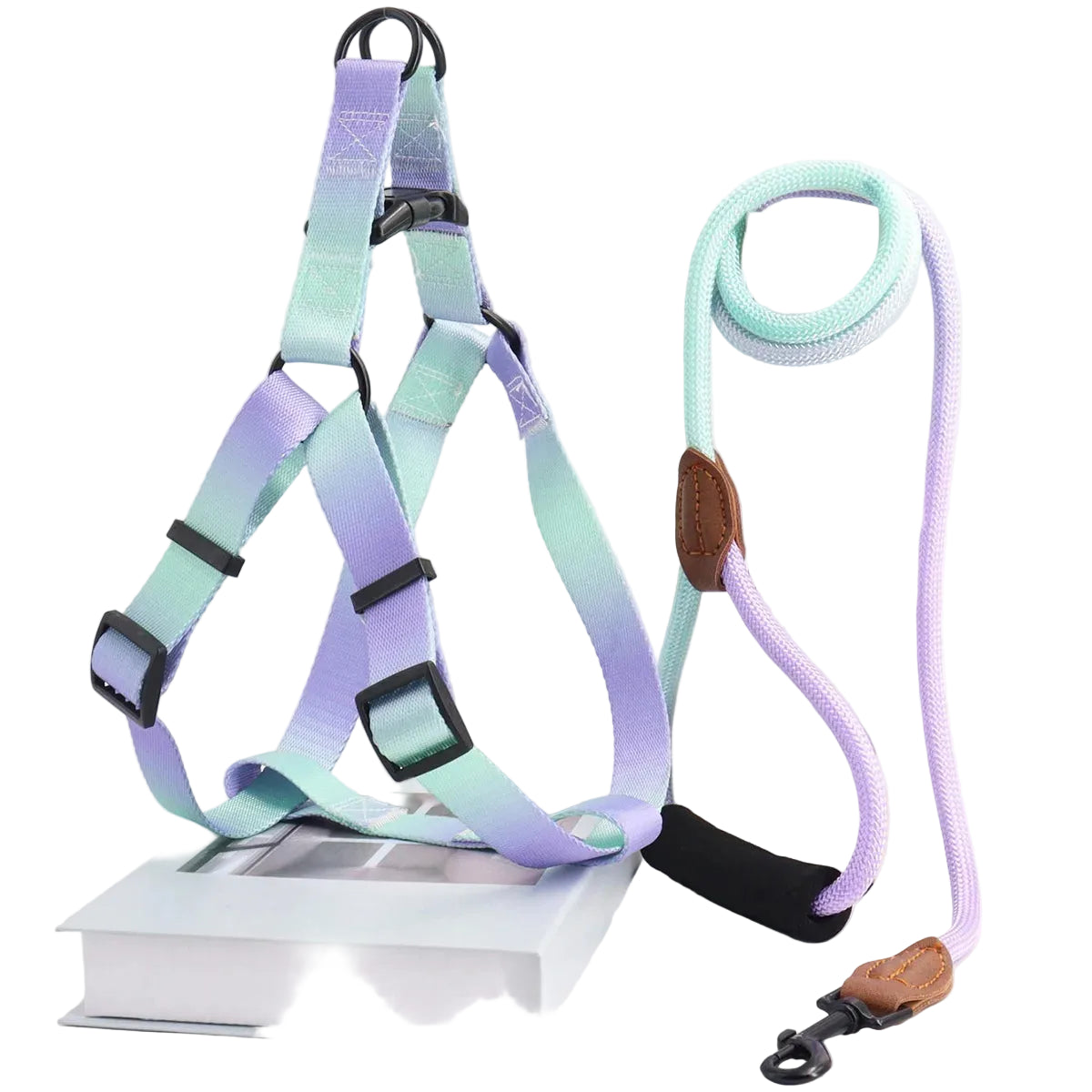 Colorful Pet Harness with Leash