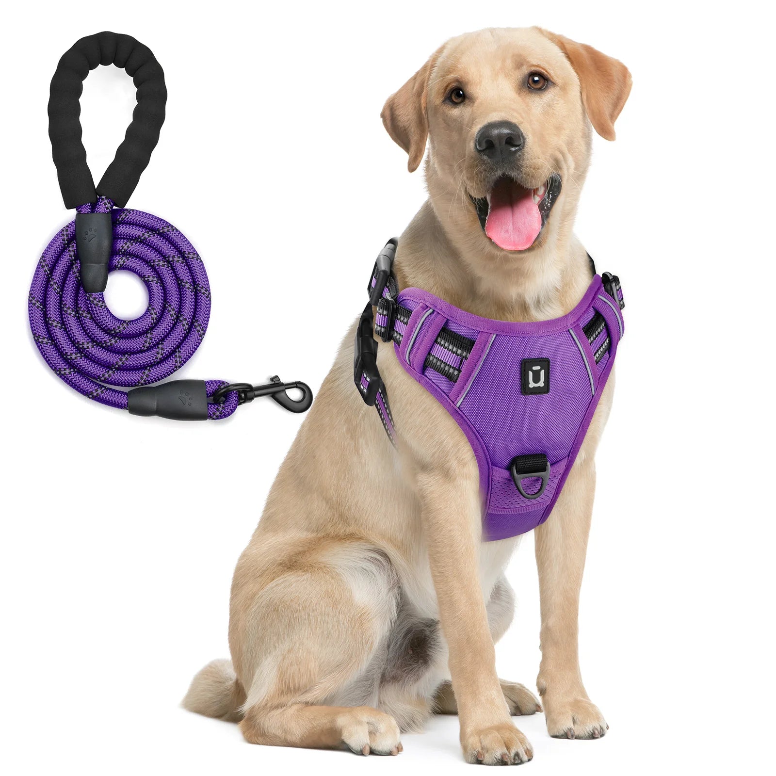 No-Pull Dog Harness with Leash