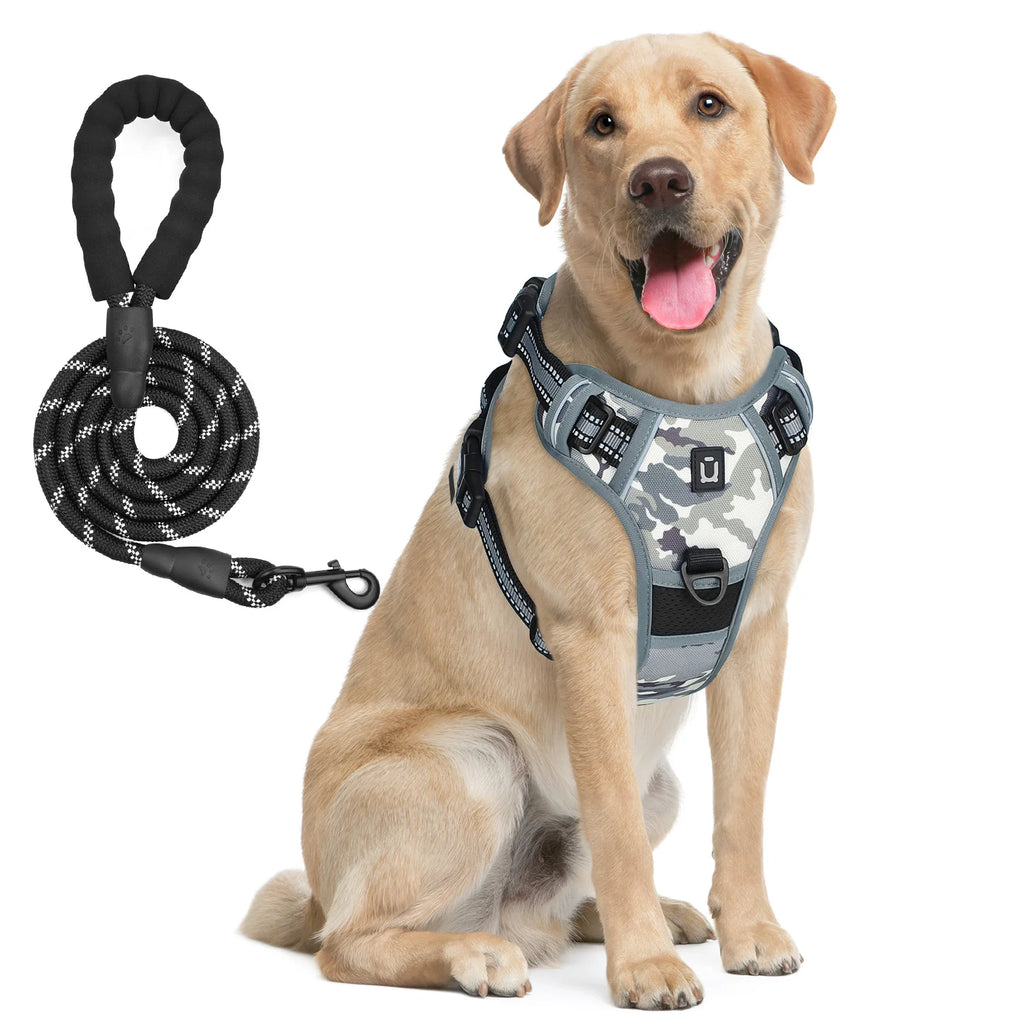 No-Pull Dog Harness with Leash