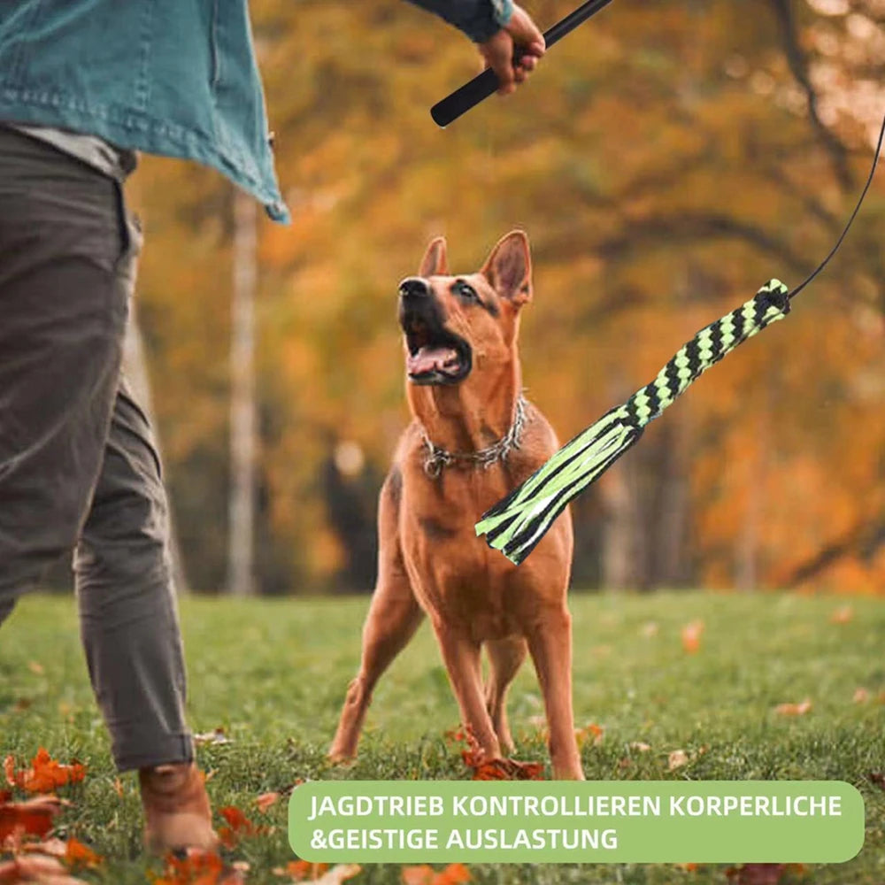 Dog Interactive Chew & Tug Toy