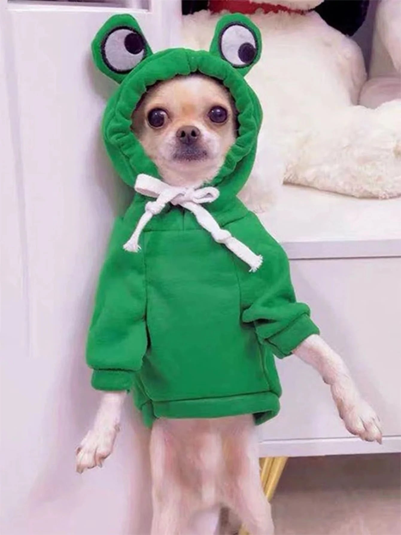 Cute Frog Pet Sweater for Small Dogs