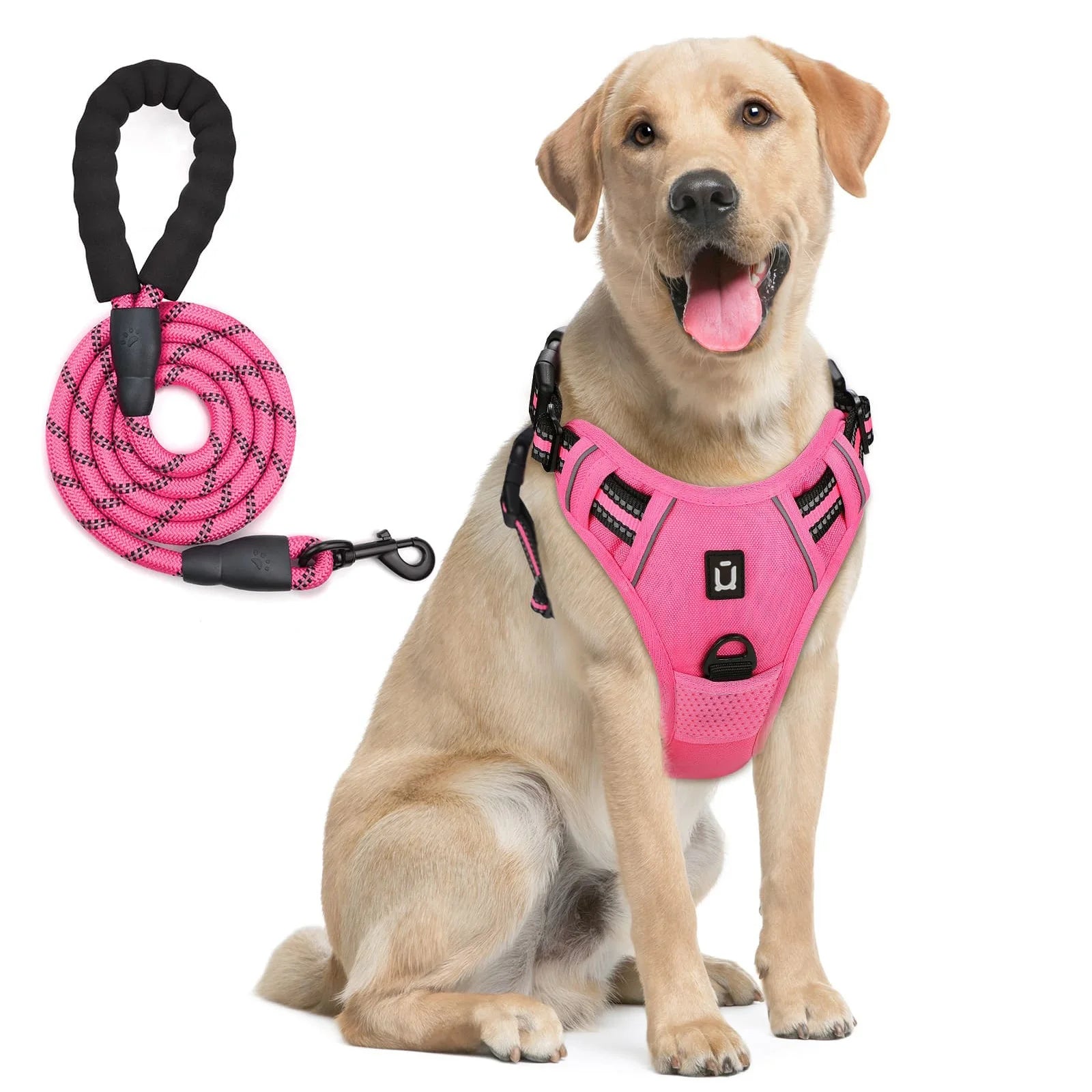 No-Pull Dog Harness with Leash