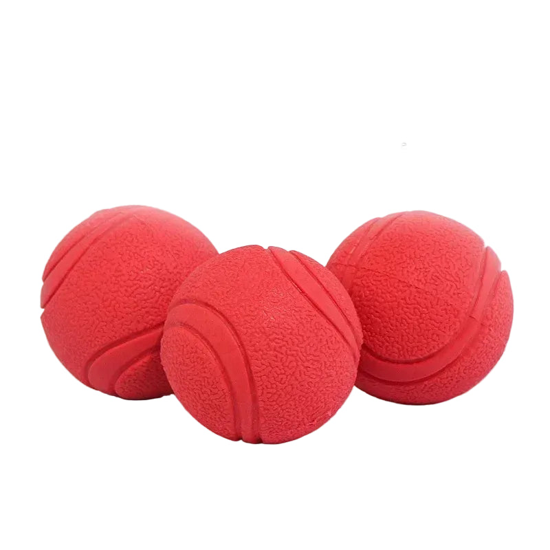 Dog Chew & Fetch Ball Toy