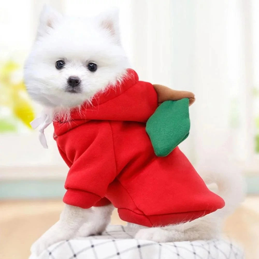 Fruit Hoodie Pet Costume for Dogs Cats