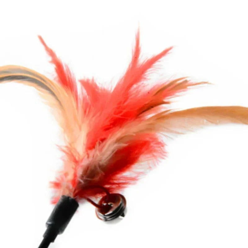 Feather Teaser Wand Cat Toy Set