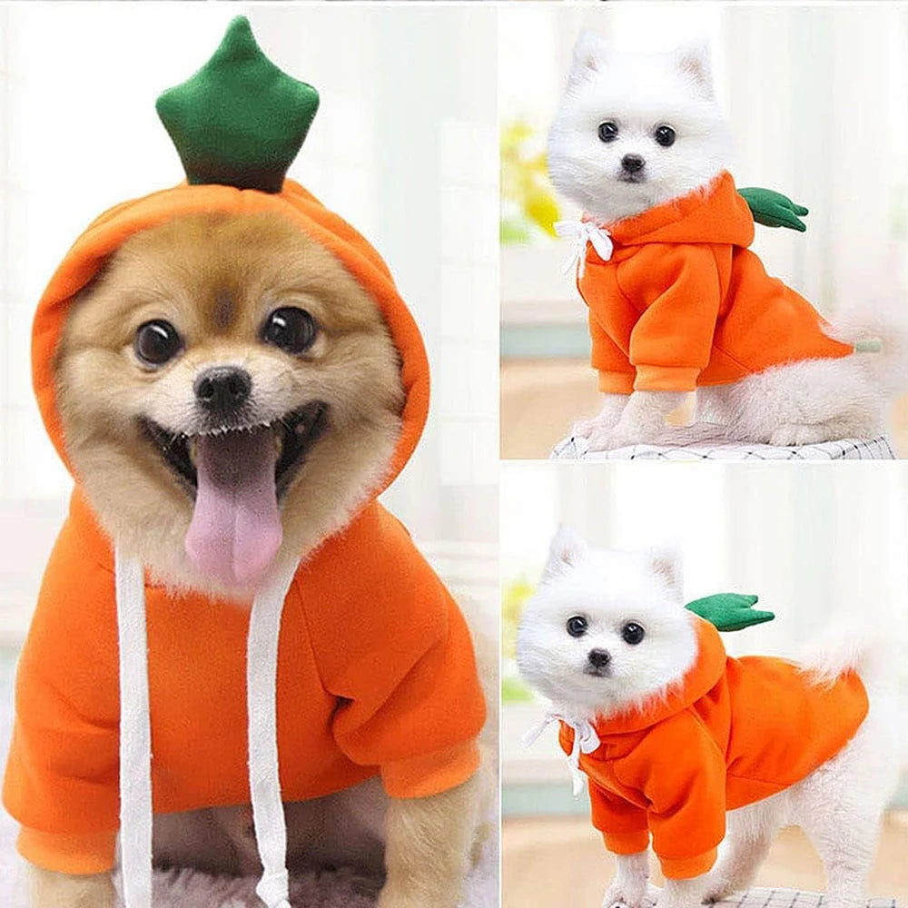 Fruit Hoodie Pet Costume for Dogs Cats