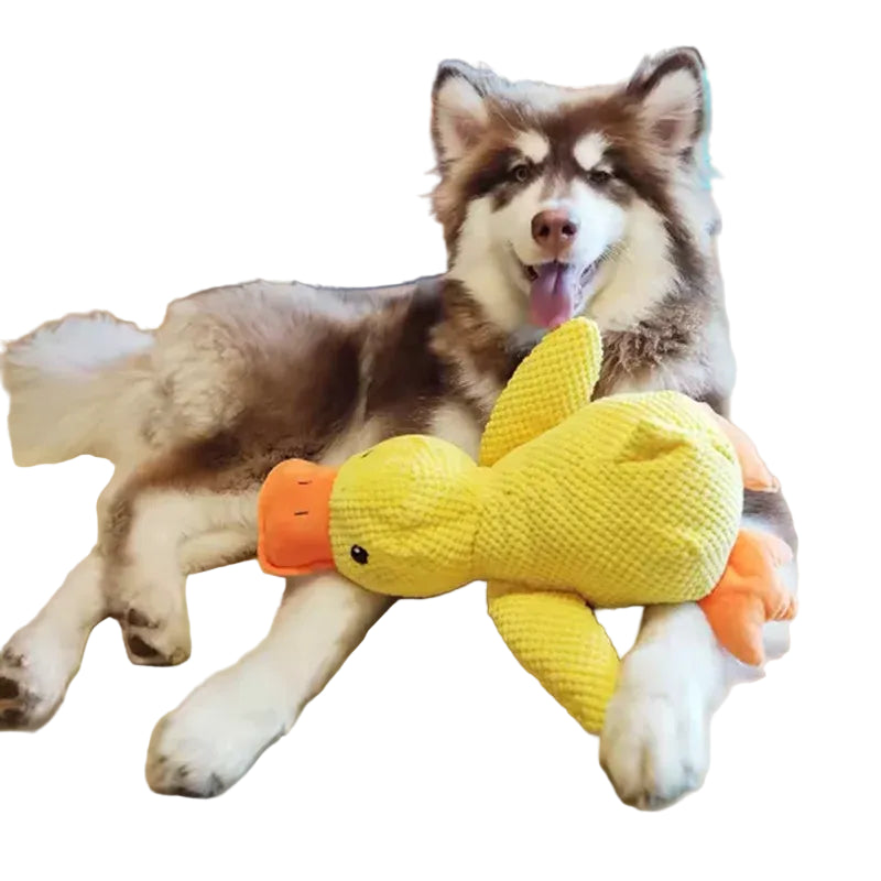 Stomping Duck Plush Dog Toy