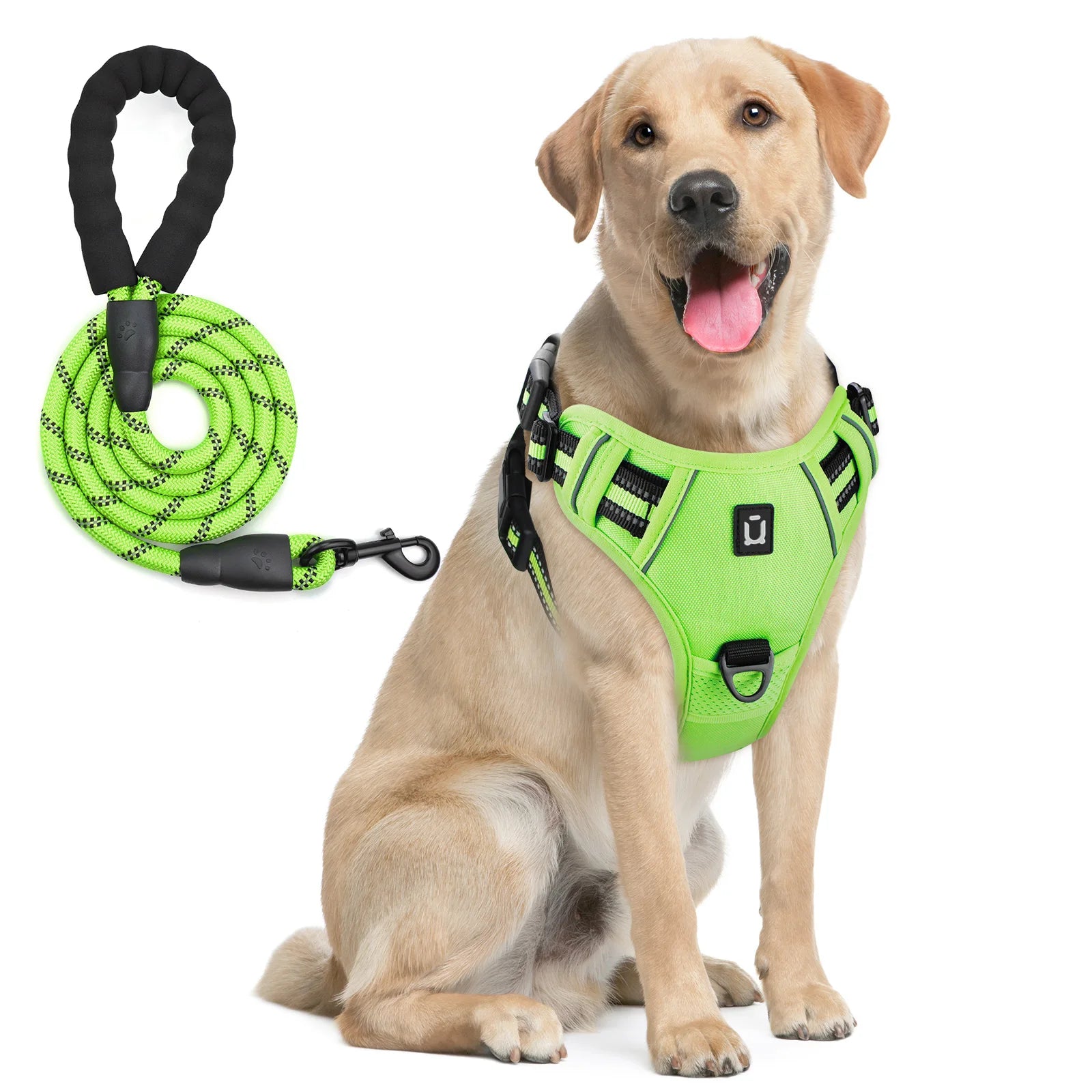 No-Pull Dog Harness with Leash