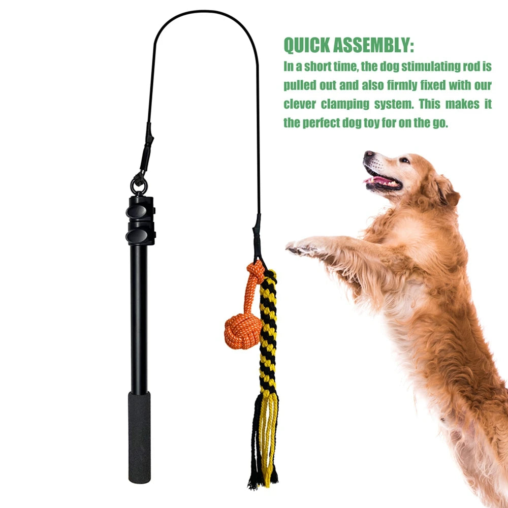 Dog Interactive Chew & Tug Toy
