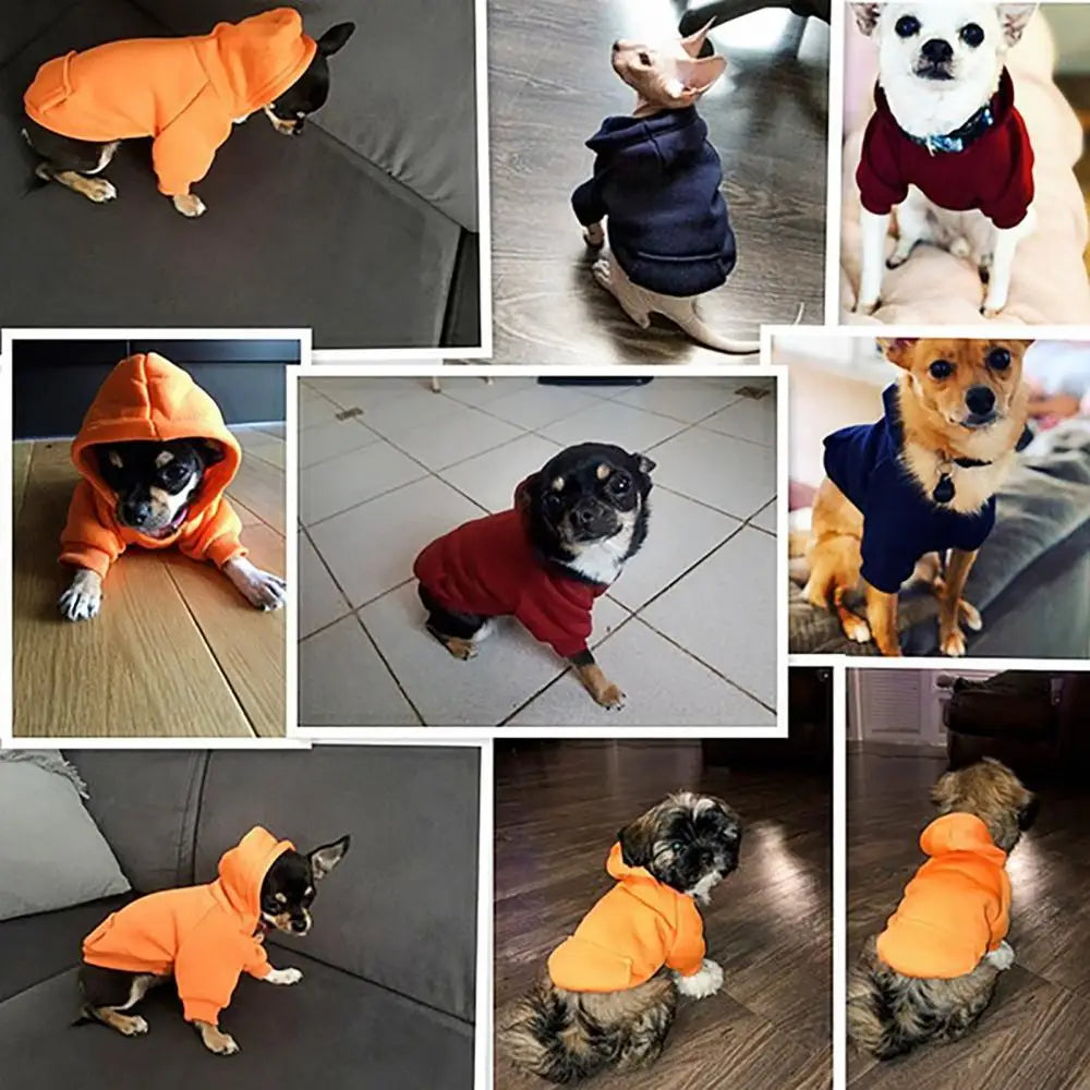 Winter Hooded Sweatshirt for Dogs