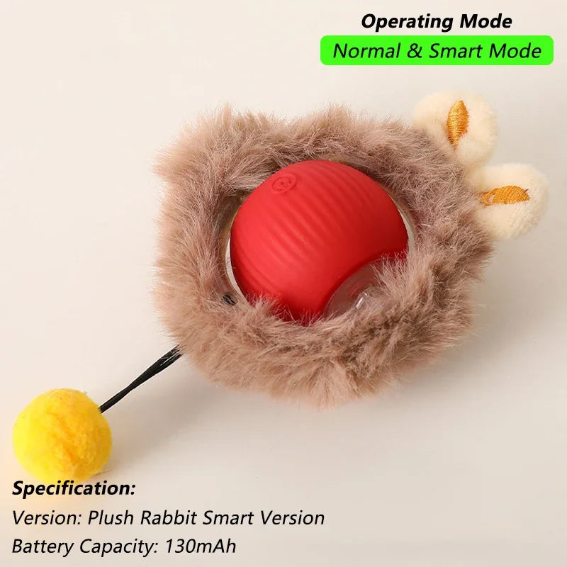 Indoor Interactive Bird Cat Toy