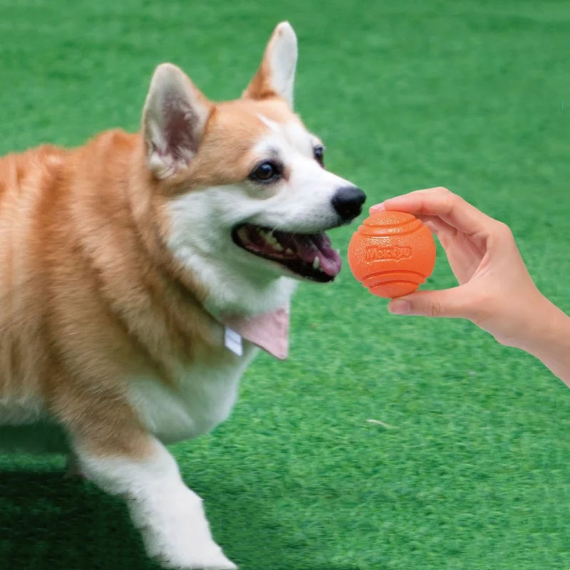 Dog Chew & Fetch Ball Toy