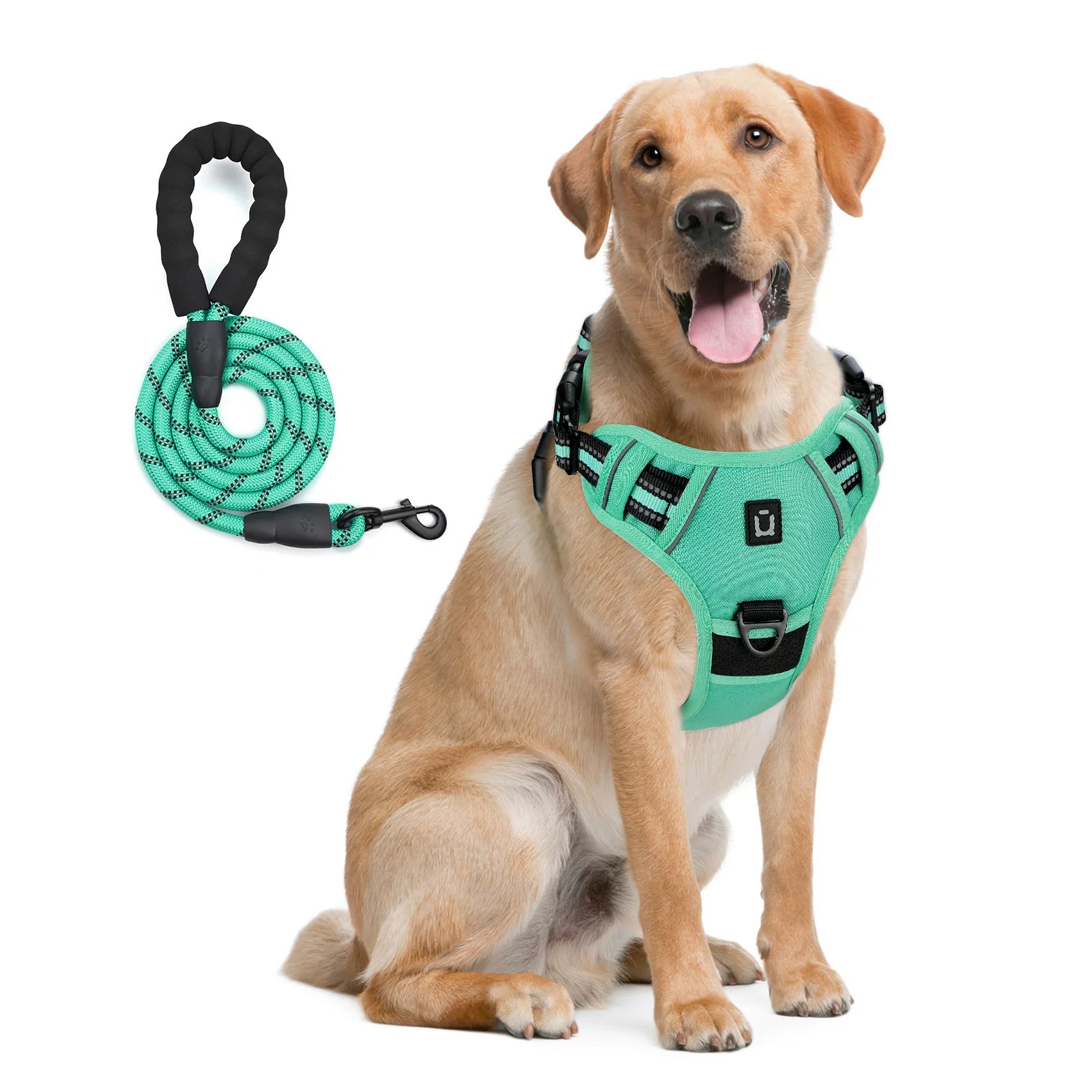 No-Pull Dog Harness with Leash