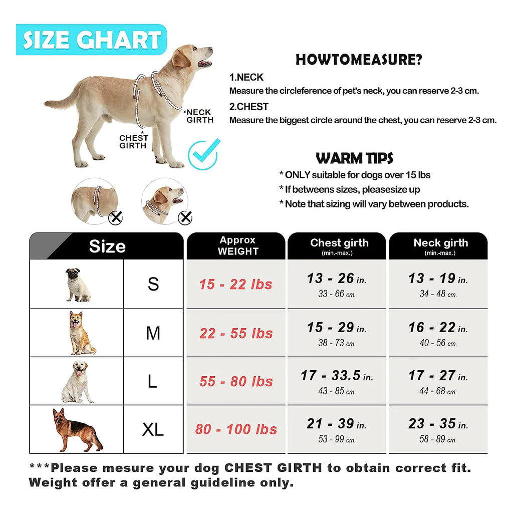 No-Pull Dog Harness with Leash