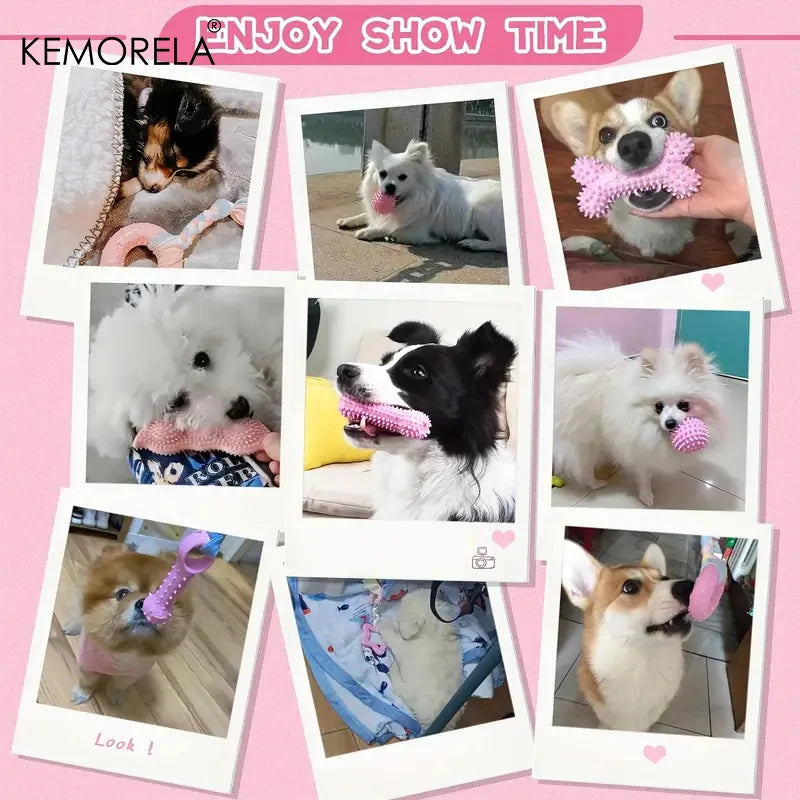 6 PCS Dog Chew Toys Set