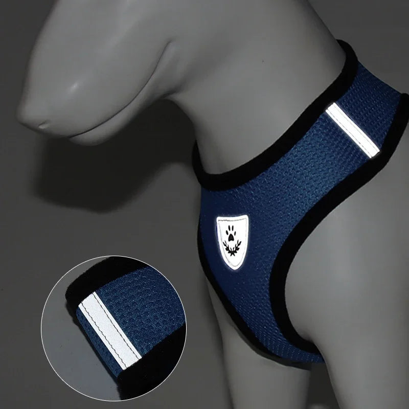 Adjustable Cat Harness with Leash