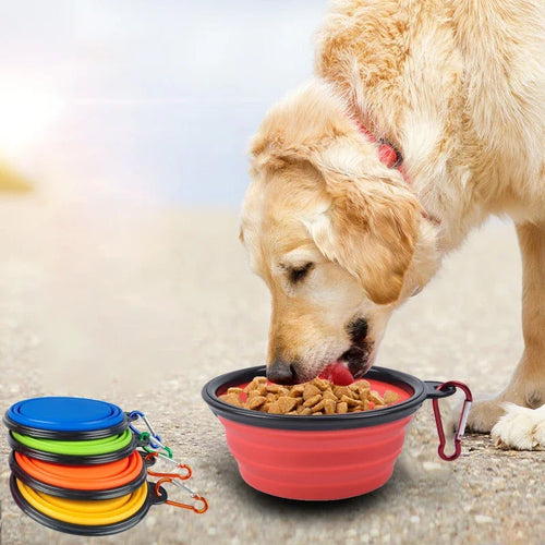 Collapsible Portable Pet Travel Bowl