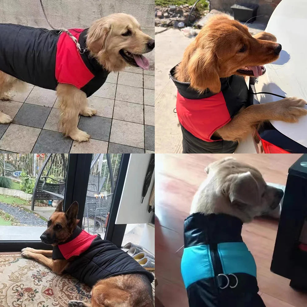 Waterproof Dog Coat Jacket