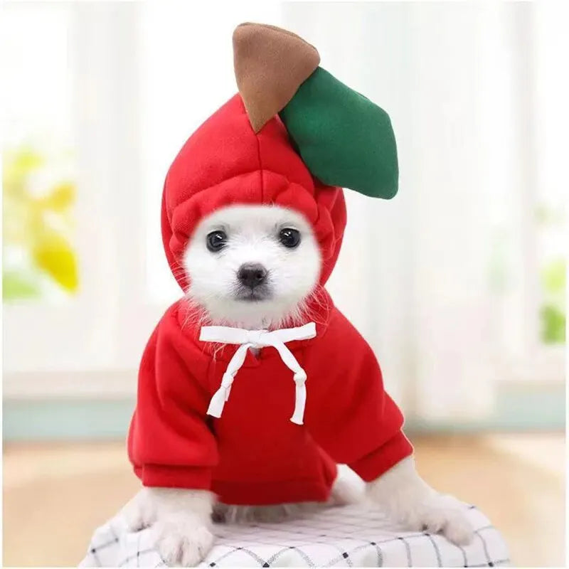 Fruit Hoodie Pet Costume for Dogs Cats