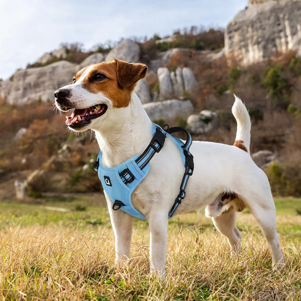 No-Pull Dog Harness with Leash