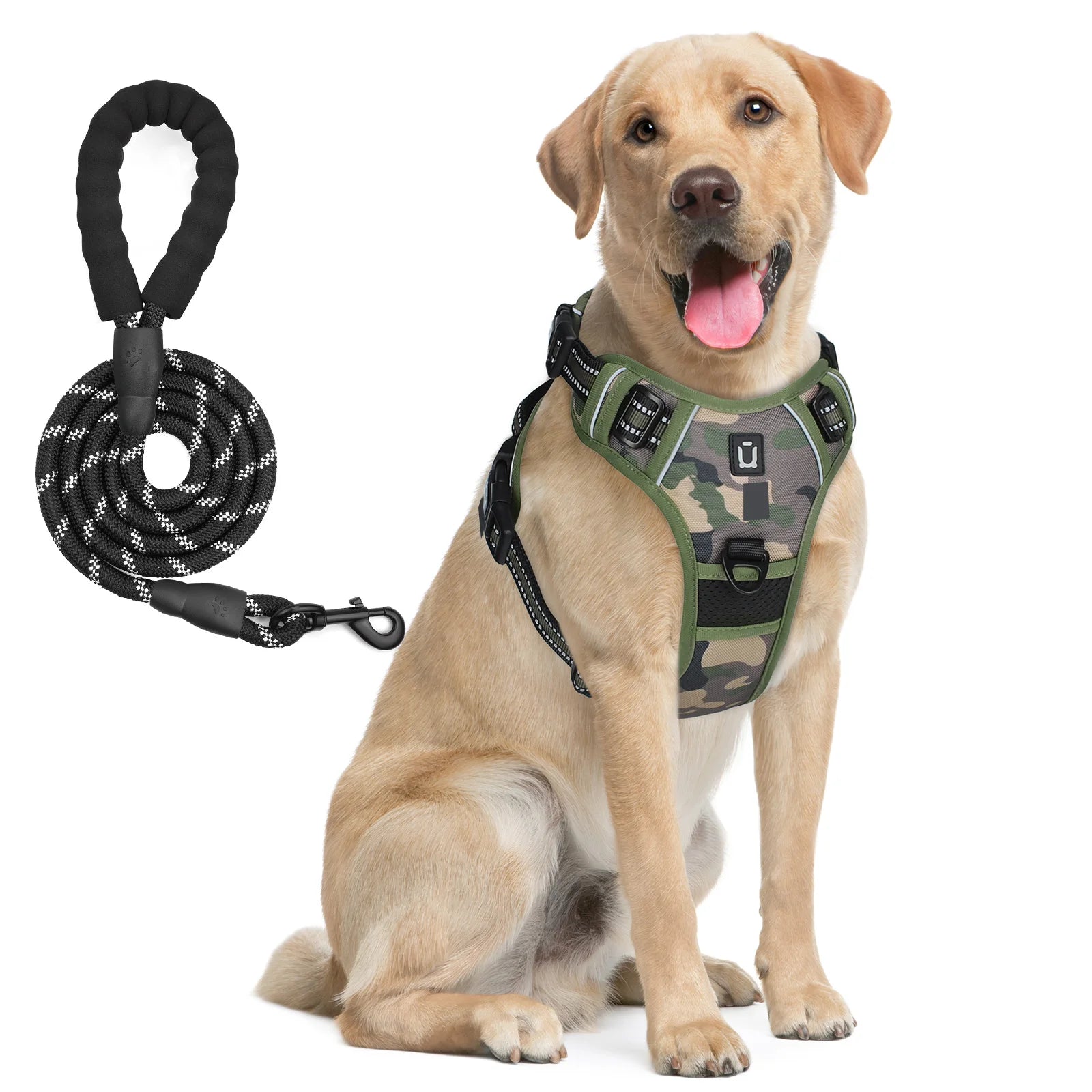 No-Pull Dog Harness with Leash