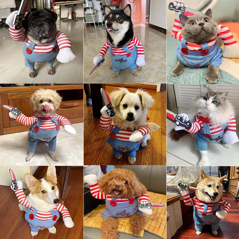 Funny Halloween Dog Costume Outfit