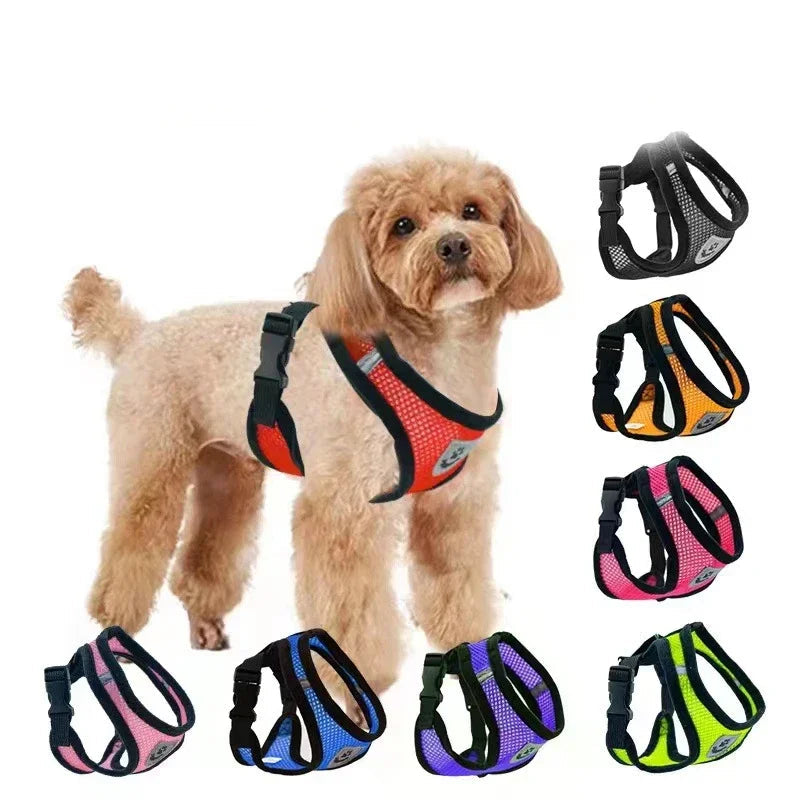 Adjustable Cat Harness with Leash