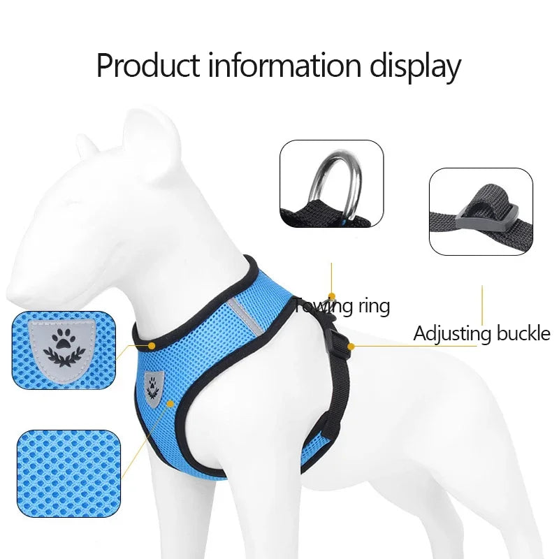 Adjustable Cat Harness with Leash