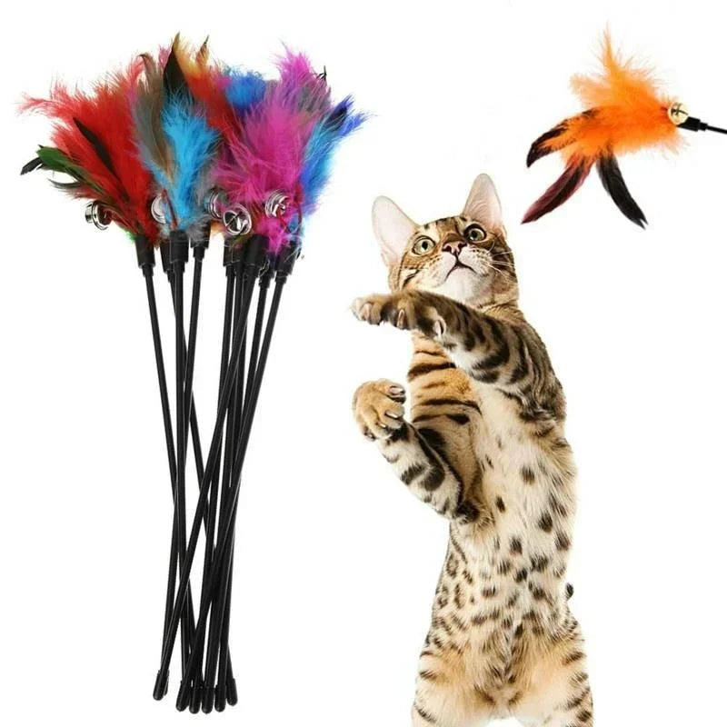 Feather Teaser Wand Cat Toy Set