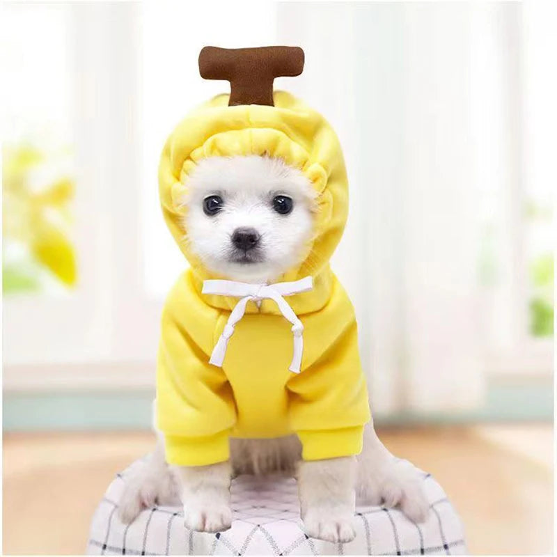 Fruit Hoodie Pet Costume for Dogs Cats