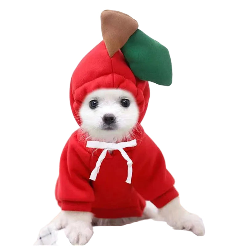 Fruit Hoodie Pet Costume for Dogs Cats