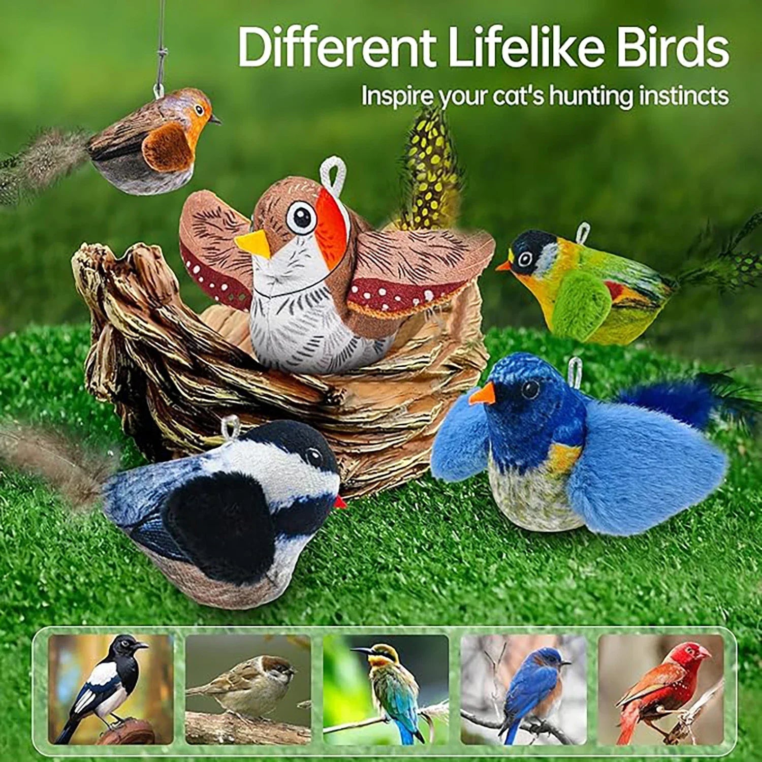 Indoor Interactive Bird Cat Toy