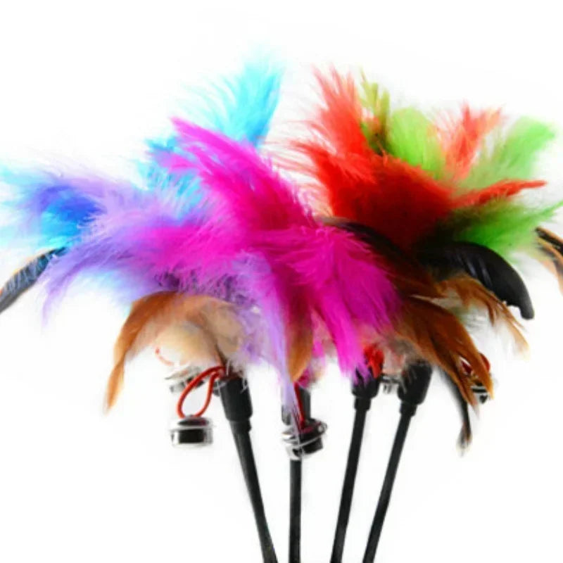 Feather Teaser Wand Cat Toy Set
