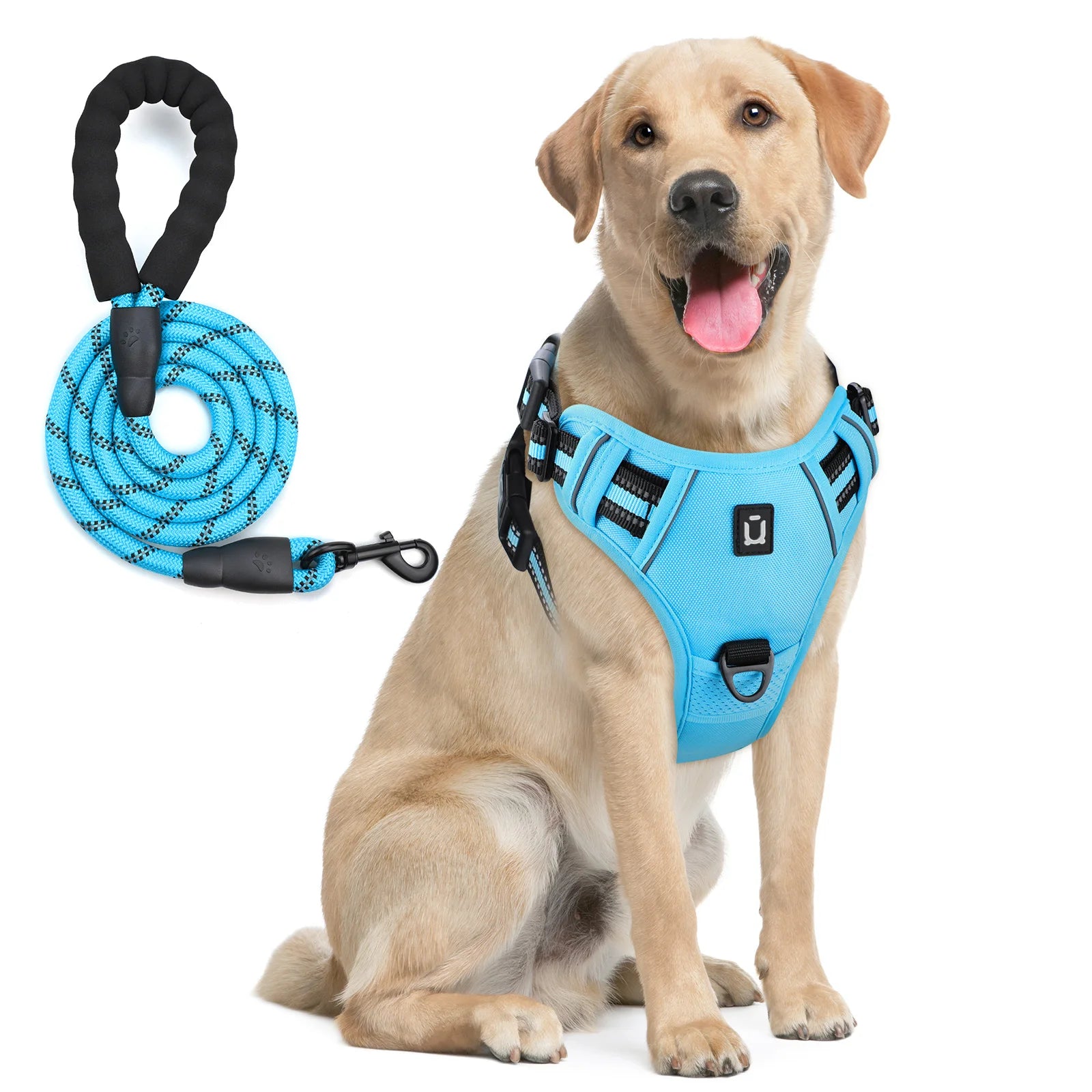 No-Pull Dog Harness with Leash