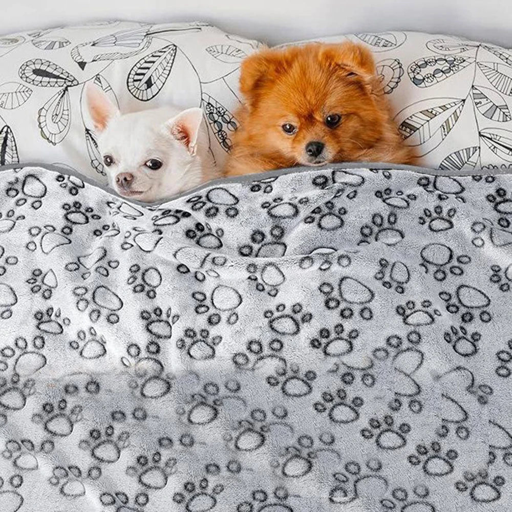 Soft Washable Pet Blanket