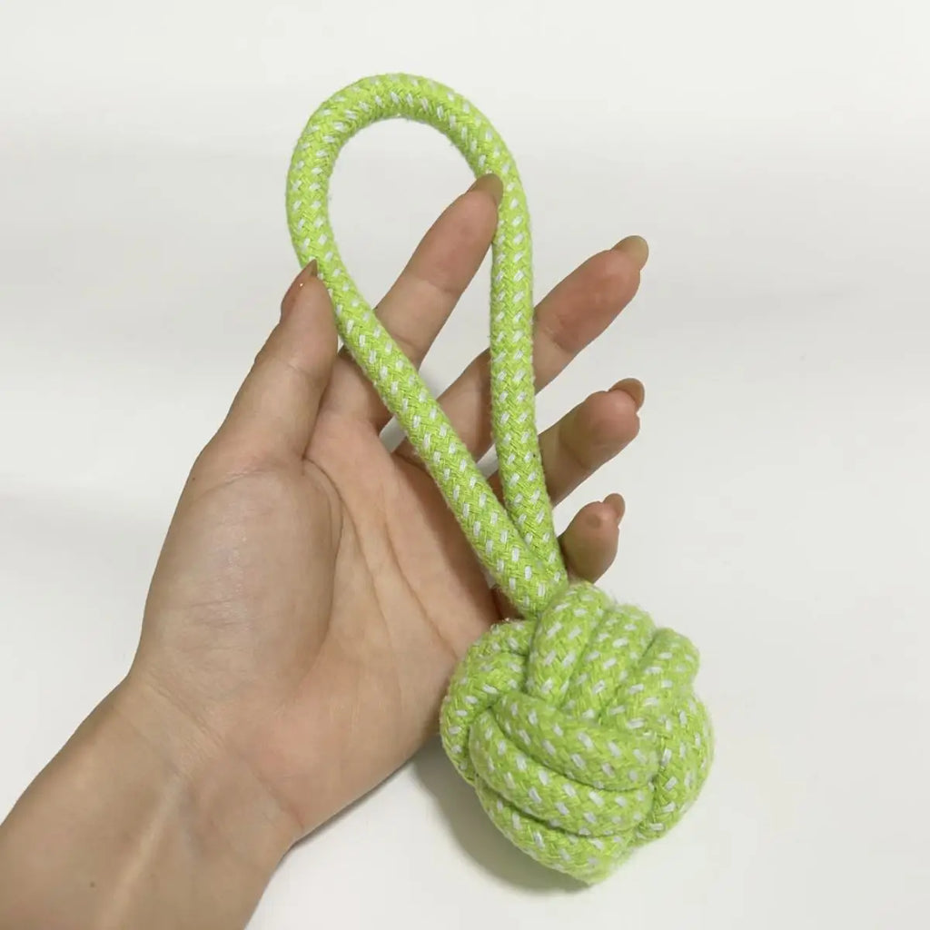 Dog Cotton Rope Chew Toy