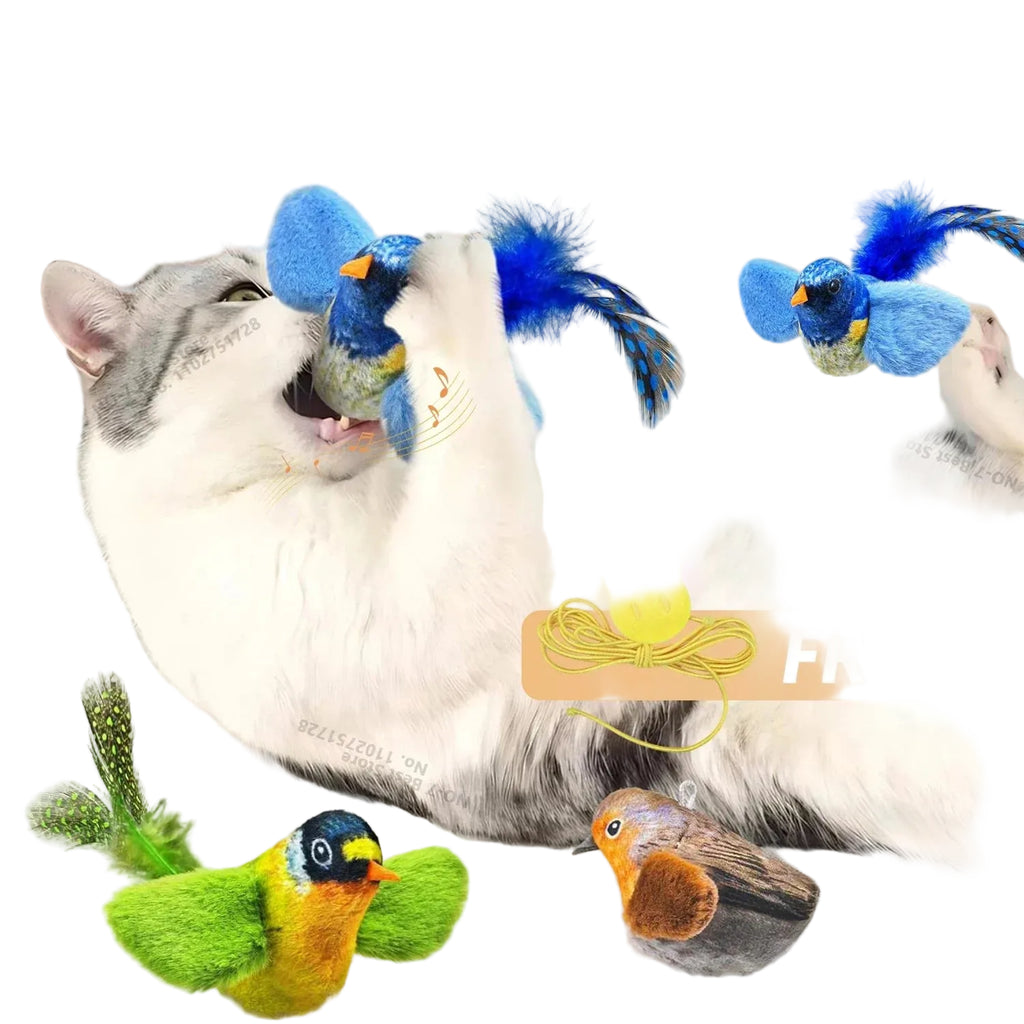 Indoor Interactive Bird Cat Toy