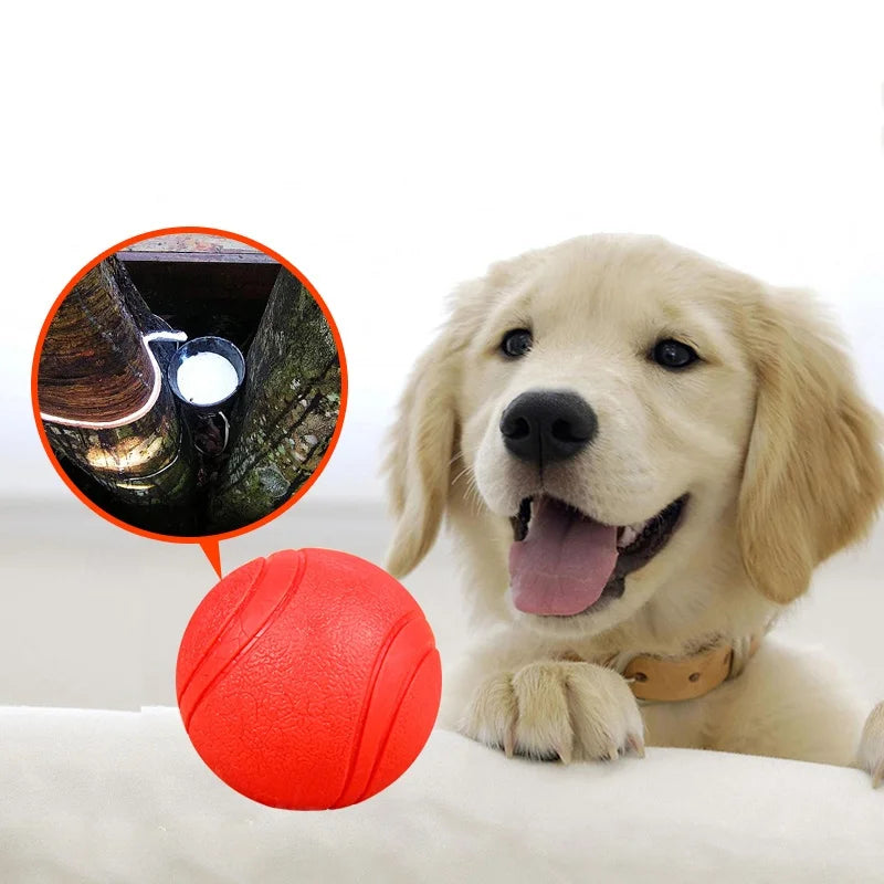 Dog Chew & Fetch Ball Toy