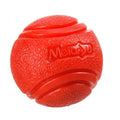 Dog Chew & Fetch Ball Toy