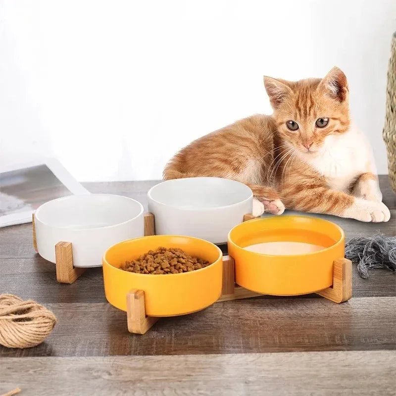 Elevated Ceramic Pet Bowl With Stand