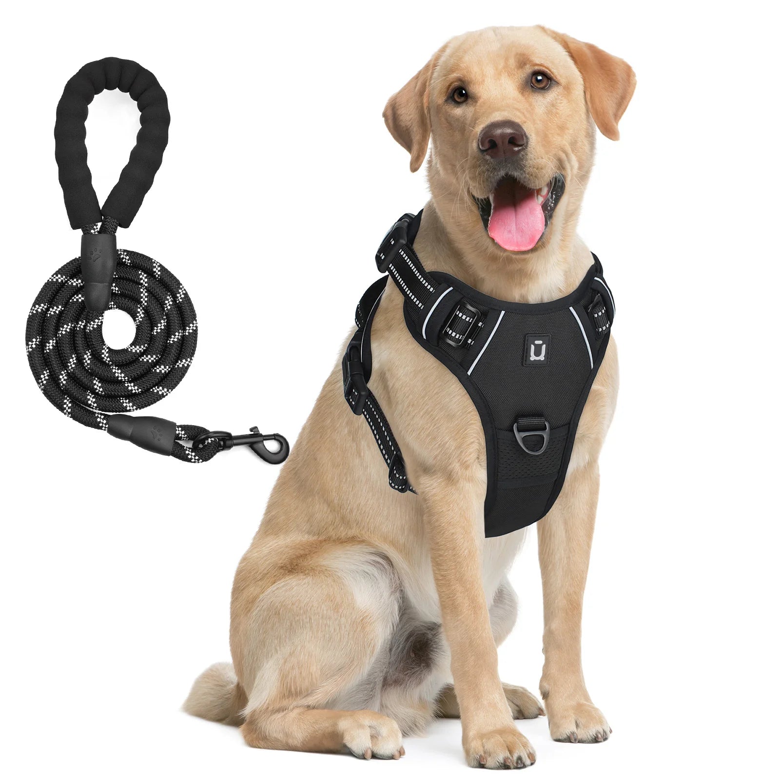 No-Pull Dog Harness with Leash